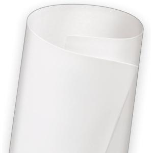 imageDicor DFII85D30 Diflex II TPO Rolled Roofing  30 x 85 White  Premium Quality for RVs