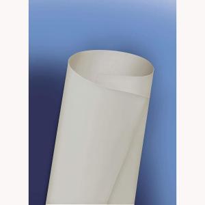imageDicor DFII46V16 DIFlex II TPO UV Resistant RV Roofing Membrane Material IvoryDove