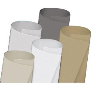 imageDicor DFII95W50 DIFlex II TPO UV Resistant RV Roofing Membrane Material Polar White